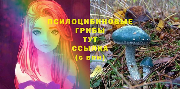 эйфоретик Кукмор