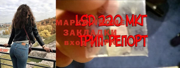 гашик Ладушкин