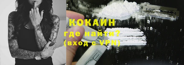 гашик Ладушкин