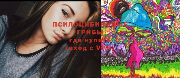 эйфоретик Кукмор