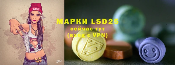 гашик Ладушкин
