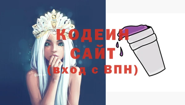 гашик Ладушкин